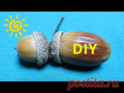 Качественная поделка из желудей как сувенир! Легко сделать! Отличная идея! Мастер - класс! DIY