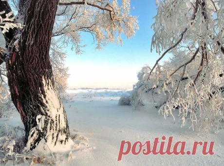 Плейкаст «ЖИЛА ЗИМА В ИЗБУШКЕ»