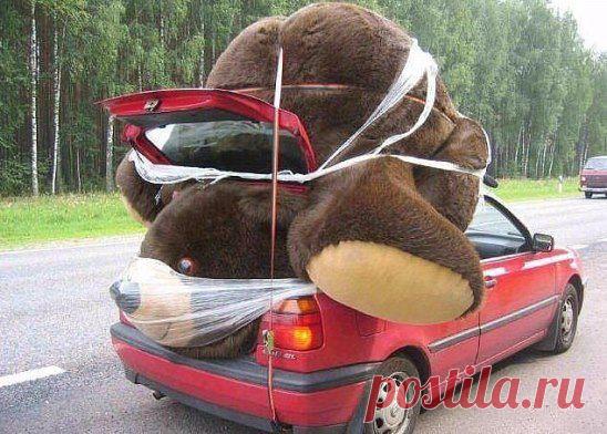 ...судя по всему - за рулем Маша