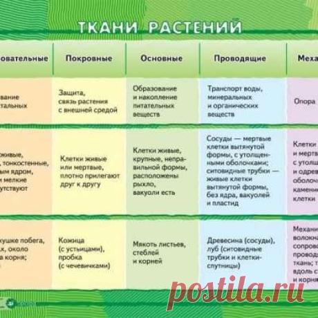Учитель биологии!