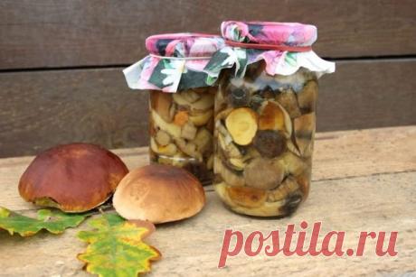 Маринованные белые грибы с уксусом на зиму — Домашние заботы