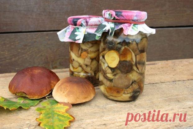 Маринованные белые грибы с уксусом на зиму — Домашние заботы