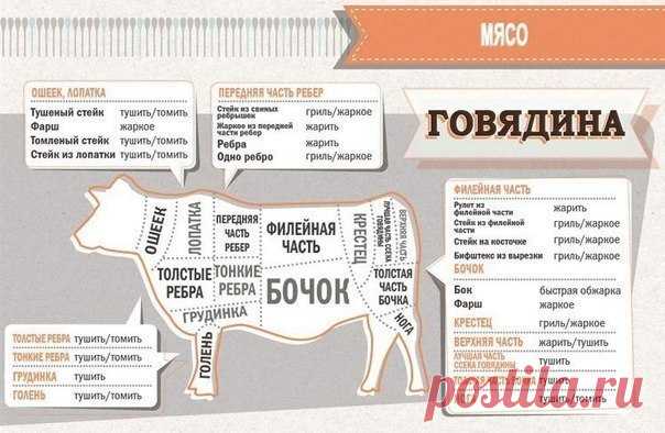 Шпаргалка для кухни