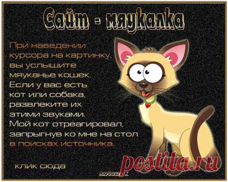 Сайт - мяукалка