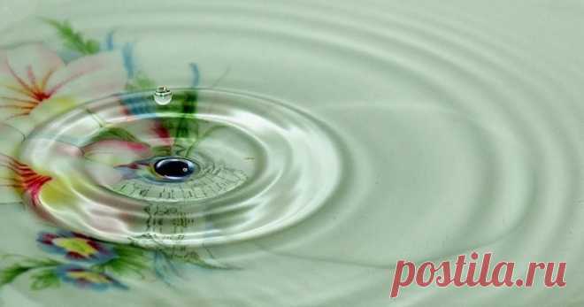 «Благодарность»