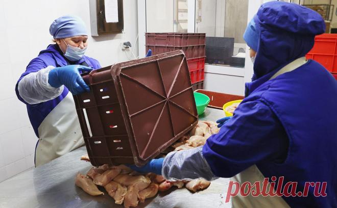 ФАС выдала предписания двум производителям мяса из-за роста цен. О том, что ФАС решила проверить на обоснованность цен крупных участников рынка, источники РБК сообщали неделю назад. В ведомстве рассказали, что двум производителям мяса птицы были выданы предписания