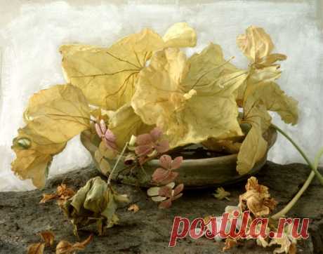 Художник Франсуа Жилле