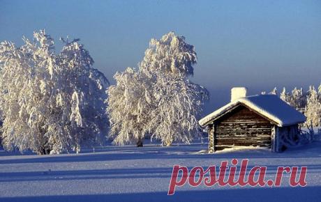 55 «ледяных» фото, которые доказывают, что природа — лучший художник!