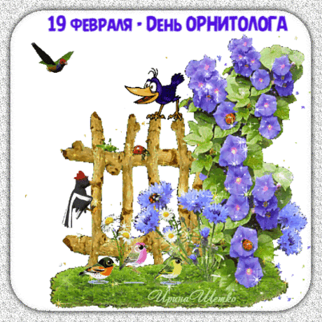 Орнитологи, вам праздник, целый день для вас,
Оригинальная профессия, вам поздравления от нас. Открытки на День орнитолога!