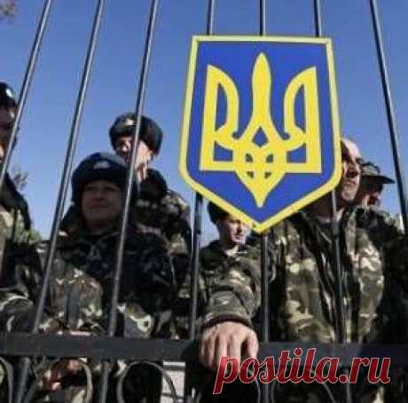 Как законно избежать призыва по мобилизации..