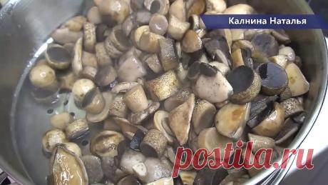 Самые вкусные Маринованные грибы на зиму, они как свежие! Знакомая медик раскрыла все секреты!
