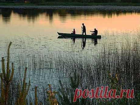 ПРИРОДА-ГЛАВНЫЙ ВРАЧЕВАТЕЛЬ. | Советы Народной Мудрости
