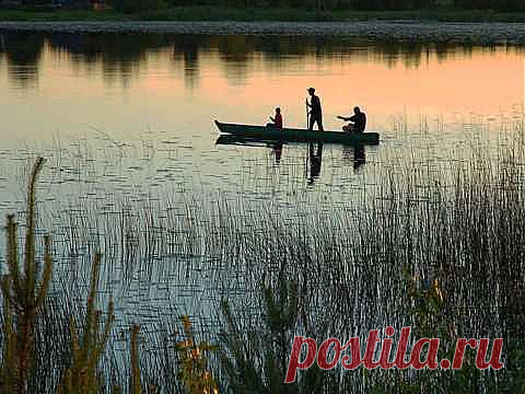 ПРИРОДА-ГЛАВНЫЙ ВРАЧЕВАТЕЛЬ. | Советы Народной Мудрости