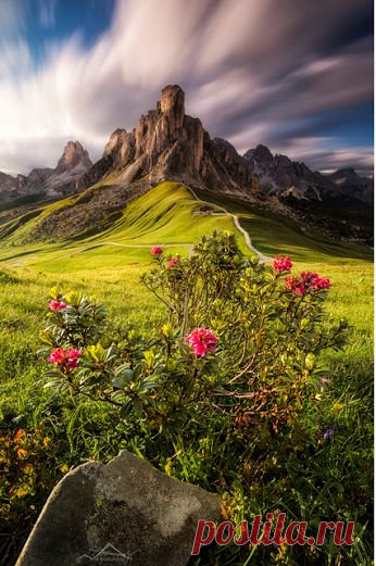 Kirill Gerusov – Google+