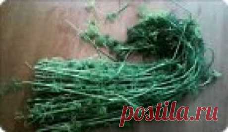 Не выкидывайте стебли укропа. Рецепт. Всем приветы! Я сегодня с маленьким, но очень полезным рецептом! Мама с дачи мне передала много укропа, но он уже перерос и в основном там остались лишь стебли. Мне стало очень жаль их выкидывать и я решила их переработать таким вот простым, но очень вкусным способом. Надеюсь, что он вам пригодится!   ЗЫ В видео я обещала дать ссылку на ручную соковыжималку. Где покупала не помню, но ...