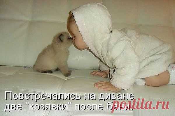 Одноклассники