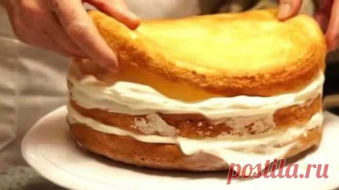 Рецепт вкусного и пышного бисквита: ТОП-5 проверенных вариантов — informed news 24
