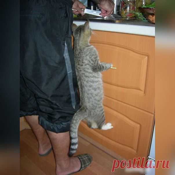 Женские посиделки - дети, рецепты, красота...))) | ВКонтакте