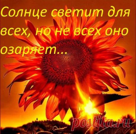 (9) Pinterest