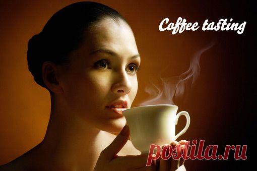 Тонкости дегустации кофе — не просто пить, а наслаждаться каждым глотком
