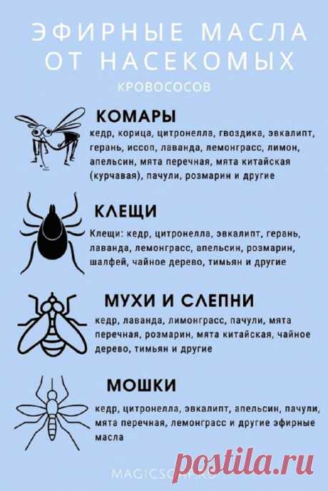 Эфирные масла от насекомых кровососов