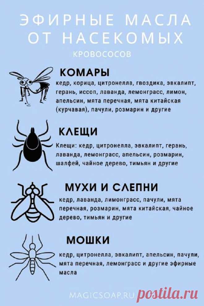 Эфирные масла от насекомых кровососов