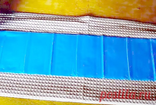 Сажаем АСТРЫ на рассаду без земли | Олин Огород | Яндекс Дзен