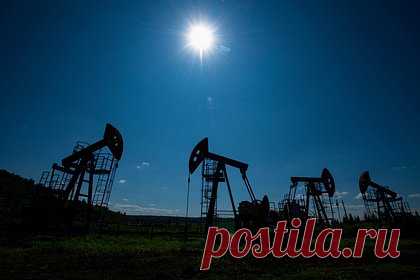 Объемы экспорта российской нефти в Индию оценили