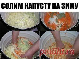 СОЛИМ КАПУСТУ НА ЗИМУ. СОЛИМ КАПУСТУ НА ЗИМУ. 7 лучших рецептов.
Засолка капусты в 3-литровых банках.
РЕЦЕПТ 1.
КАПУСТА БЫСТРОГО ПРИГОТОВЛЕНИЯ.
Нашинковать капусту тонкой соломкой или нарезать кусочками. Плотно 
уложить в 3-х литровую банку. Залить холодной водой, растворив в ней 2 ст.ложки соли (воды 1-1,5 л). Оставить банку в тепле на 2 дня. Затем 
слить немного рассола и растворить в нём полстакана сахара, влить опять в капусту, оставить на один день, затем убрать в хол...