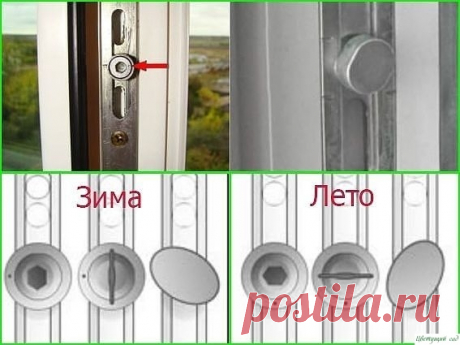 Когда мне рассказали об этом, я не поверила. Обратите внимание на свои окна!