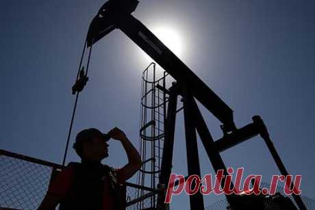 Назван крупнейший покупатель российских нефтепродуктов