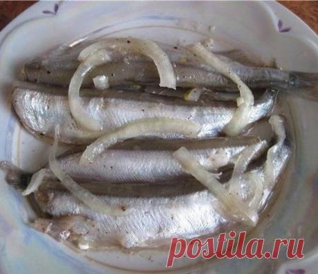 Легким движением руки, мойва превращается...