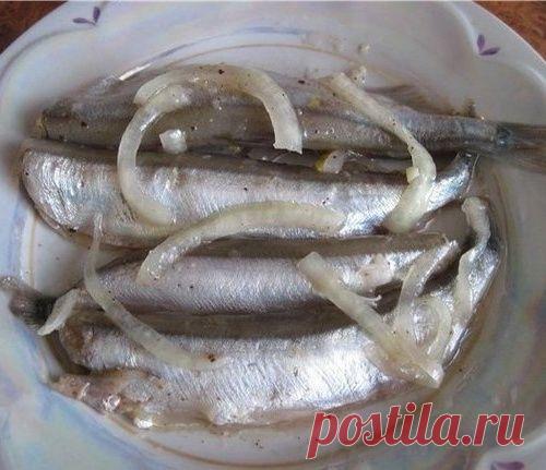 Легким движением руки, мойва превращается...