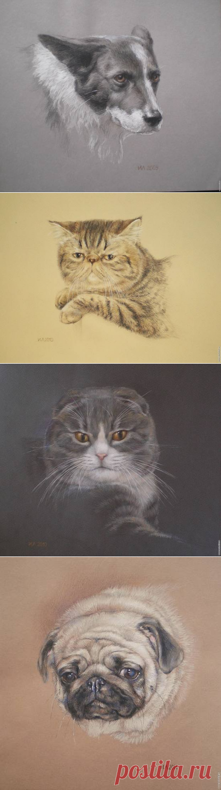 Портреты кошек и собак.Решетникова (Львова) Ирина Львовна.