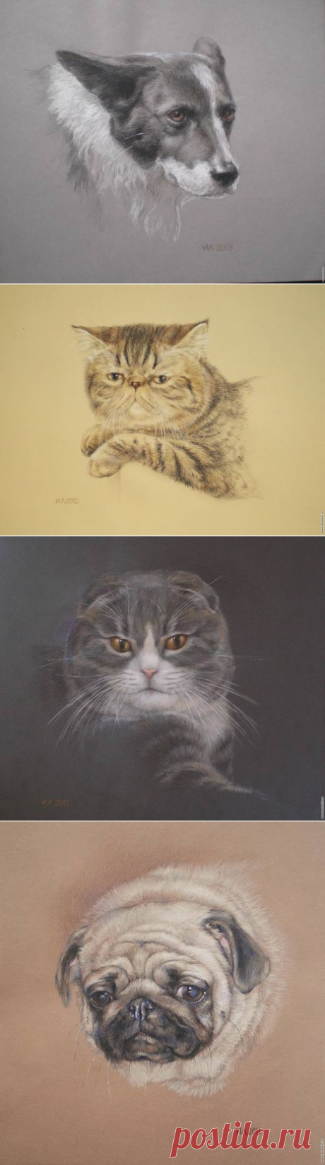 Портреты кошек и собак.Решетникова (Львова) Ирина Львовна.