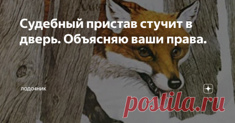 Судебный пристав стучит в дверь. Объясняю ваши права. Советы "бывалого". Могу ли я не впустить в квартиру, принадлежащую мне на праве собственности - группу приставов? Об этом и других вопросах - сейчас расставим точки над "i".