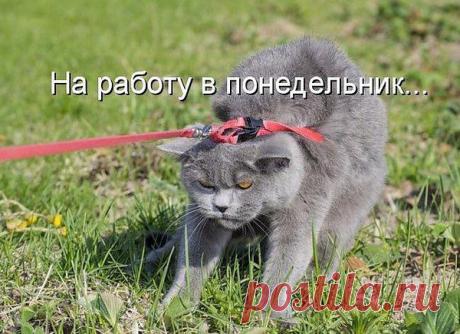 Интересные новости