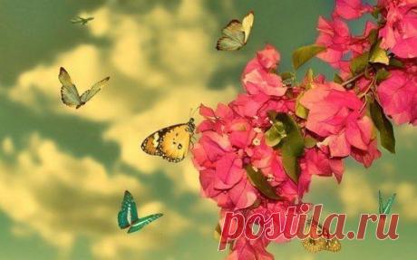 То, что вы ищете, тоже ищет вас.
Руми