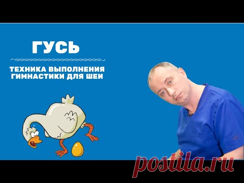 Упражнение 