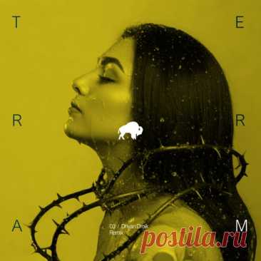 Eisen - Dead Jorge (Dhyan Droik Remix) [TRM031] free download mp3 music 320kbps