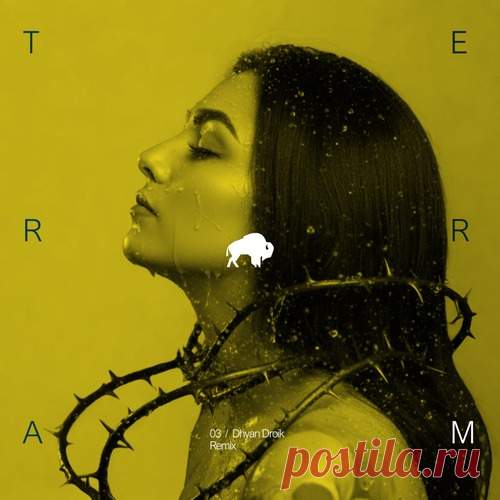 Eisen - Dead Jorge (Dhyan Droik Remix) [TRM031] free download mp3 music 320kbps