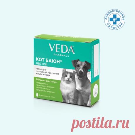 Как успокоить кошку | Успокоительные средства для кошек