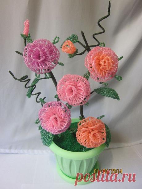 Бисероплетение. Волшебный мир бисера
светлана киверина