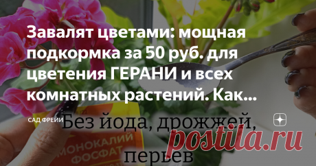 Завалят цветами: мощная подкормка за 50 руб. для цветения ГЕРАНИ и всех комнатных растений. Как эффективно делать Хотите, чтобы растения показали максимальное цветение? Обязательно вносите подкормки для цветения. Я уверена: количество цветков зависит в первую очередь от условий и ухода. И ещё раз от условий.