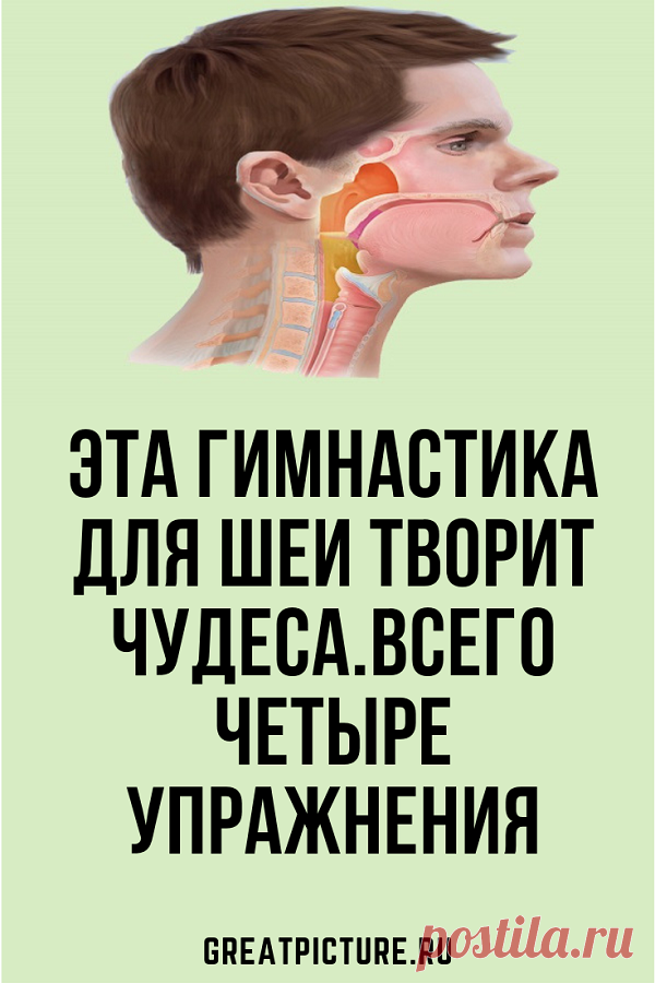 Всего четыре упражнения, которые кажутся банальными на первый взгляд, при регулярном выполнении помогут подтянуть кожу шеи, нормализовать сон и даже избавиться от болей в шейном отделе позвоночника и головных болей. #здоровье #красота #самоеинтересное #упражнения - Favland.org