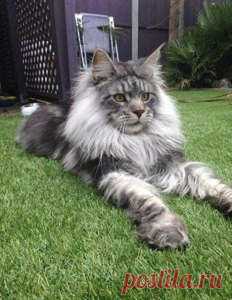 Татьяна: Не обижайте тех кто вас любит ,их и так ........... угораздило)))