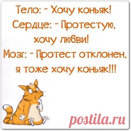 Рецепты Кулинария