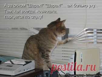 Лучшая котоматрица недели (30 фото) Свежая порция самых лучших котоматриц, которые появились на этой неделе на популярном сайте!Всем приятного просмотра и отличного настроения!
































