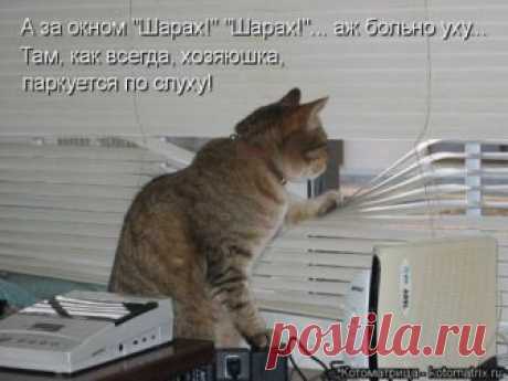 Лучшая котоматрица недели (30 фото) Свежая порция самых лучших котоматриц, которые появились на этой неделе на популярном сайте!Всем приятного просмотра и отличного настроения!































