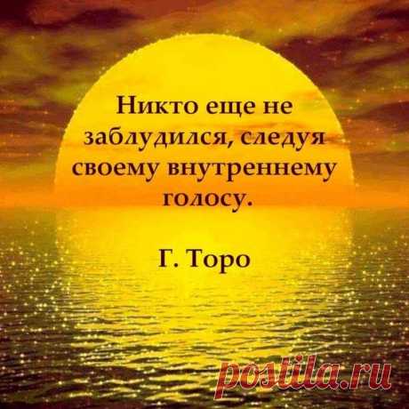 (53) Pinterest